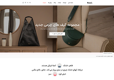 Razzi WooCommerce WordPress Theme Main Bags